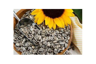 Graines de sésame, blé, avoine, pavot ... semoules